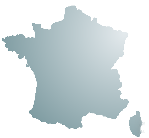 DISTRIBUTION NETWORK IN FRANCE