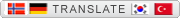 translate company