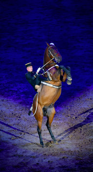 Gala evening at the Cadre Noir de Saumur © B. Lemaire - Cadre noir IFCE